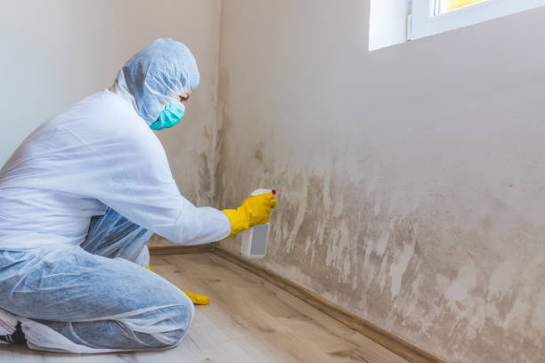 Hvac And Air Duct Mold Remediation inspection of HVAC system in Hickory Corners
